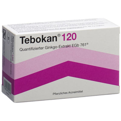TEBOKAN Filmtabl 120 mg 120 Stk