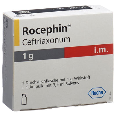 ROCEPHIN 1 g i.m. c Lidoc Durchstf